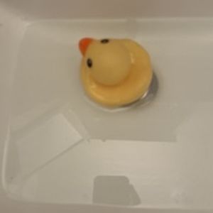 Meet your Posher, Princess